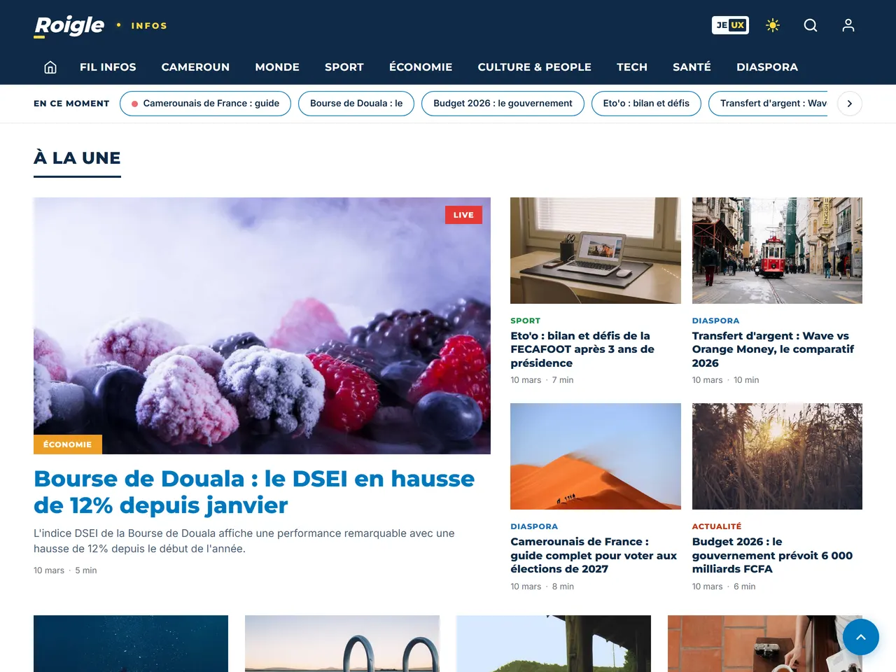 Page d'accueil de Roigle, média de la diaspora camerounaise, avec ses huit rubriques